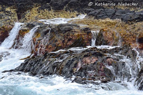 Wasserspiel an der kleinen Insel - auf den Steinen gut zu erkennen ist das Kelp, welches bei Ebbe über dem Wasserspiegel an der Luft frei liegt, aber durch die sich brechenden Wellen immer wieder "bewässert" werden.