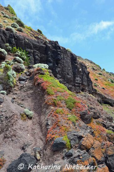 Muss ich bei solchen Farbkombinationen noch was sagen?