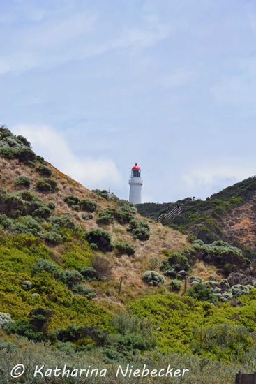 Der zweitälteste Leuchtturm in Victoria - toller Farbkontrast zwischen der kargen, doch grünen Vegetation, dem weiß des Leuchtturms und dem blauen Himmel.