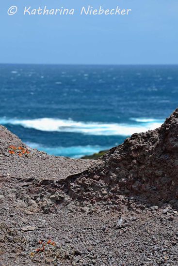 Diese Klippen hier leuchteten lila, was leider hier nicht ganz so gut rüber kommt. Der Farbenvielfalt waren hier keine Grenzen gesetzt.