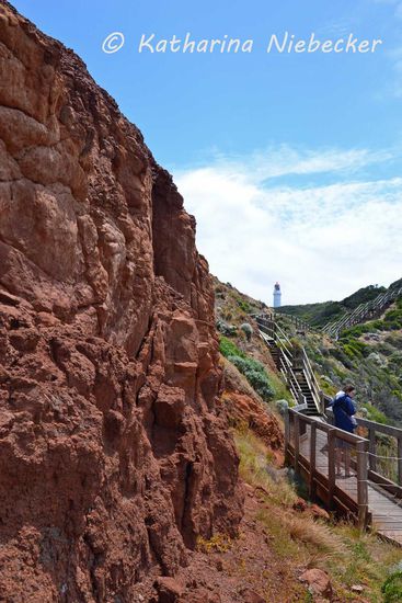 Dazu kamen dann noch rote Felsenklippen (bin ich schon beim Uluru?). Daneben der lange Holzweg, welcher uns vom Carpark zur südlichsten Spitze brachte.