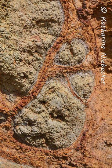 Farbspiel des Gesteins der roten Klippen....