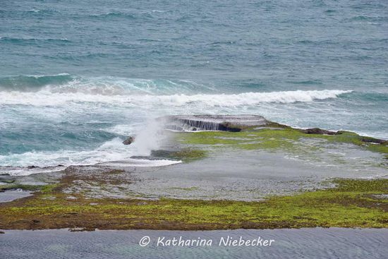 Bin ich schon wieder in Island? Nein, immer noch in Australien.....