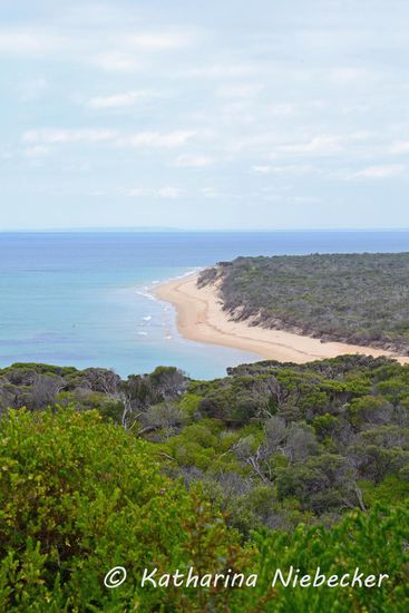 Ausblick nach Osten auf die Port Phillip Bay von "Gun Junction" - sieht doch ganz schön aus, oder? ...wie ein kleines Paradies....
