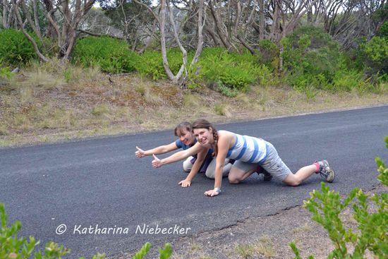Die Käfte schwanden und es kam immer noch keiner.... 
Wie auch, wenn hier keine Autos fahren dürfen und der "Transporter" schon schlafen gegangen ist, da wir wieder einmal die letzten waren....
