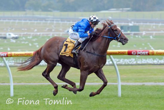 Mein Weihnachtsgeschenk - ein überlegener Sieg von "Alezan Thunder"