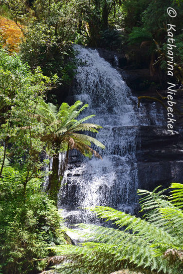 Na wenn das kein Postkarten-Format hat, dann weiß ich's auch nicht....  Mein Paradies auf Erden....