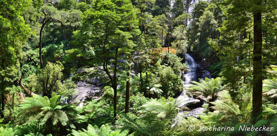 Ein Panorama vom Paradies - diesmal bei Sonnenschein - sieht doch gleich ganz anders aus......