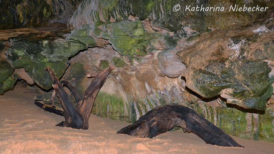 Dieser Rest eines Baumes liegt wohl schon etwas länger hier.....