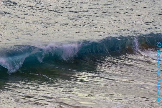 Dank des starken Windes gab es schöne Wellen.....