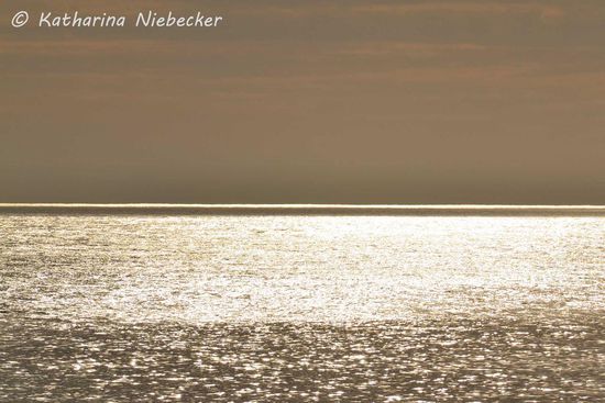 Das Gegenstück zum Bild davor..... 