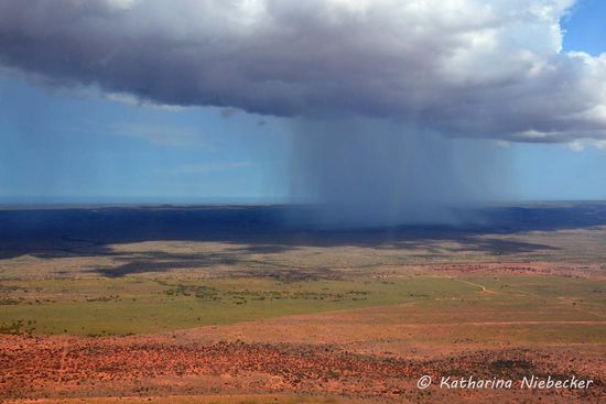 Beim Landeanflug in Exmouth kamen wir an einem "kleinen" Regenschauer vorbei... Sieht schon gewaltig aus.... Auch schön zu erkennen ist die rote Erde, welche hier auf einedoch grün wirkende Gegend trifft.