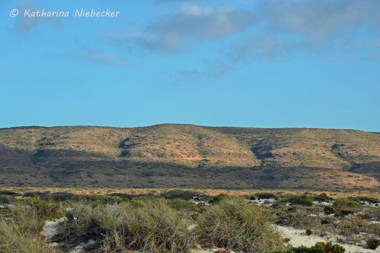 Ein Blick auf den Cape Range National Park - quasi das "Gebirge" der Halbinsel. Leider hatten wir keine Zeit, um da mal hinzufahren