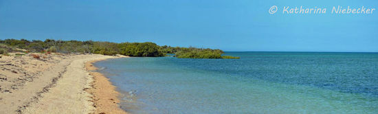 Panorama vom Strand an der Bundegi Sanctuary und den Mangroven