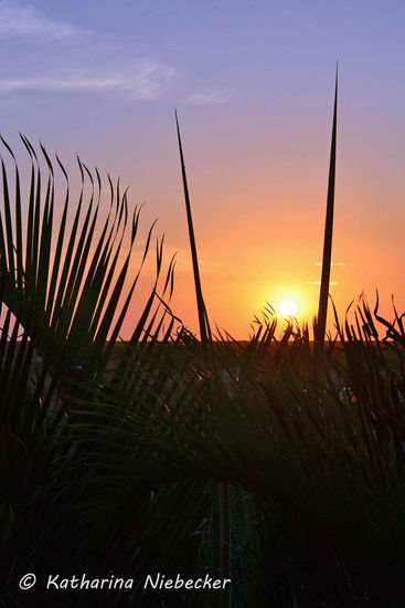 Sonnenaufgang gegen 6:30am vor dem Frühstück....
