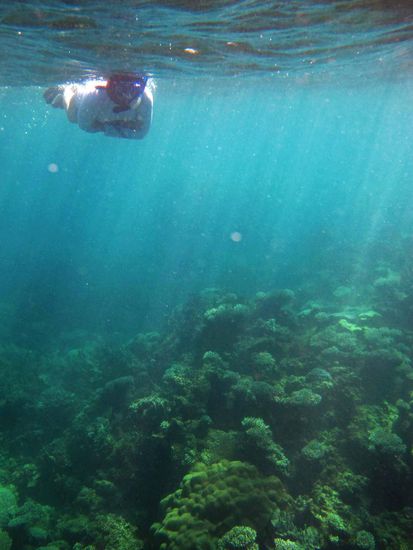 Ich beim Schnorcheln am ersten Spot, welcher hauptsächlich aus Hartkorallen und wenig Fisch bestand.