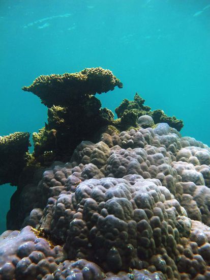 Wo sind nur all die Fische abgeblieben???