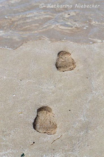 Fußspuren im Sand am Strand von Coral Bay...