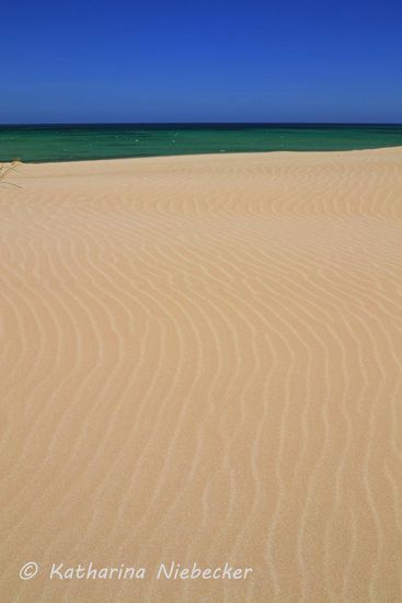 Der starke Wind, der hier heute wehte, hinterließ seine Spuren im Sand....