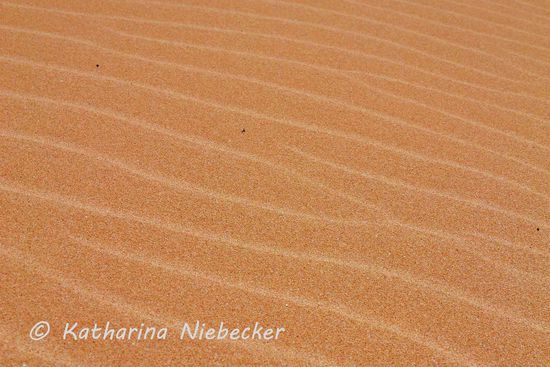 Ich mag das ja..... Immer wieder neu, immer wieder anders... ein ewiges Spiel mit den Kräften der Natur.....