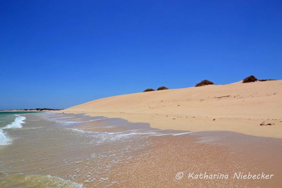 Erster Eindruck von den Dünen hier... Sie reichen teilweise bis direkt ans Wasser heran....