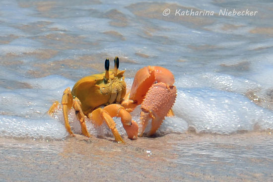 Was er da so trieb, war für mich nicht ganz verständlich....