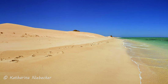 Soweit das Auge reicht.... nur Sand und Meer...... und menschenleere Strände..... kilometerlang...... Ich liebe es....