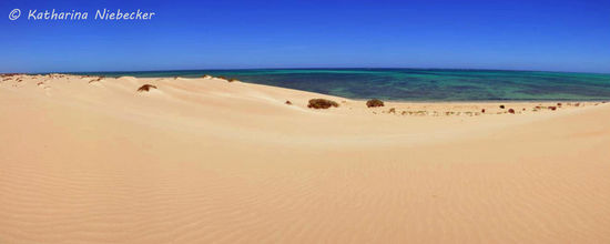 Nach Erklimmen der Düne bot sich uns dies als Ausblick....