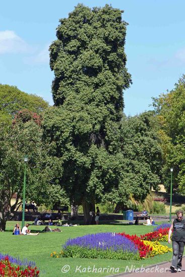 Man kann aber auch einfach nur in einem der vielen Garten die Sonne genießen, welche bei angenehmen Temperaturen von 24°C schien.