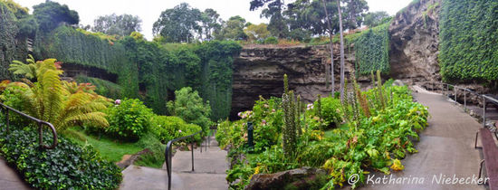 "Umpherston Sinkhole" von unten - ein wahres kleines Paradies in der Stadt. Es gibt etliche Sitzbänke unten und sogar ein BBQ-Plätze. Man kann diesen kleinen Garten also in vollen Zügen genießen, wenn denn das Wetter besser ist.