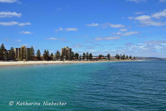 Der Blick von Steg auf die südliche Seite von Glenelg (Adelaide). Die Bäume wirken ein wenig falsch an diesem Ort.