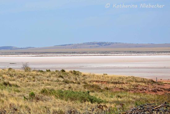 Kurzer Zwischenstopp für ein Foto - der erste Salzsee. Die ansonsten braun/beige (ocker) anmutende Landschaft wird größtenteils landwirtschaftlich für die Viehhaltung genutzt.