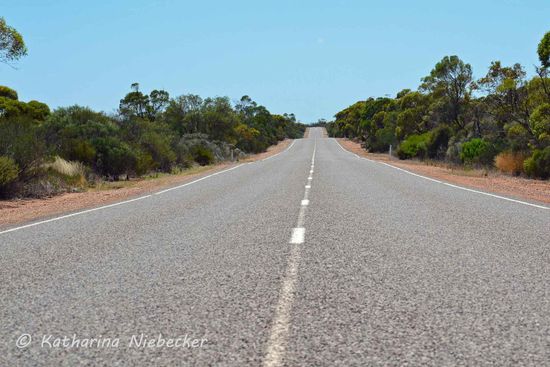Über lange Strecken führen die Straßen hier geradeaus..... Landschaftlich wird es aber auf der Eyre Peninsula ab Port Augusta aber schöner..... Dies ist der Eyre-Highway, welche durchweg eigentlich sehr gut in Schuß ist und sich gut fahren läßt.