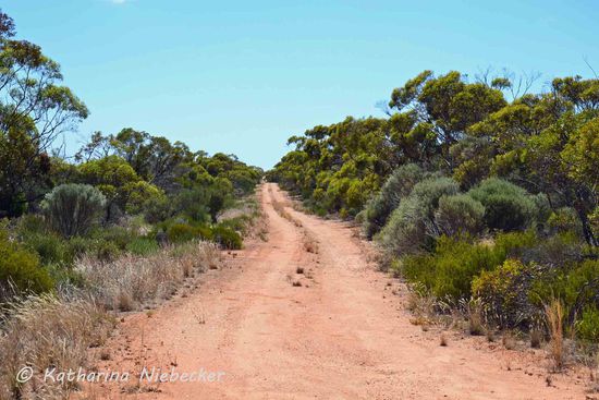 Alternativ dazu können Straßen dann auch mal so aussehen.... 