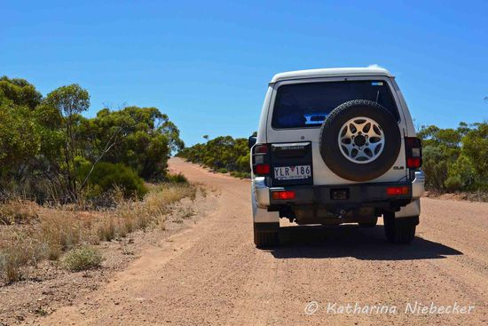Oder auch so.... ganz so, wie man es halt möchte.... Es ist für jeden etwas dabei..... Noch sieht der Wagen so schön sauber aus.....