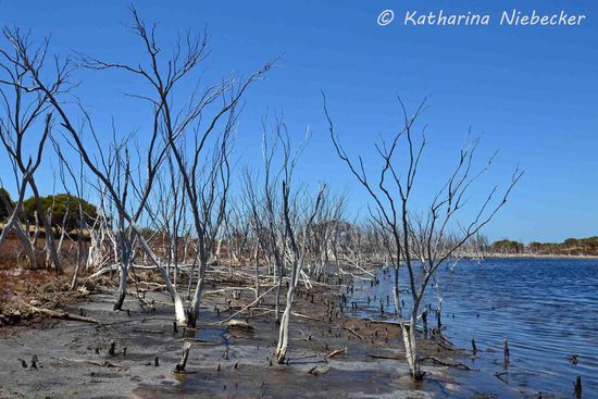 Einmal die Straße überquert, kommt man direkt zum nächsten Salzsee....