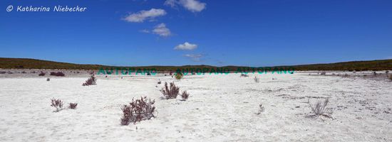 Mitten im Nationalpark wurde es auf einmal ganz weiß. Ein mittlerweile ausgetrockneter Salzsee. Auch hier fanden wir wieder Knochenreste, vermutlich von Kängeruhs.