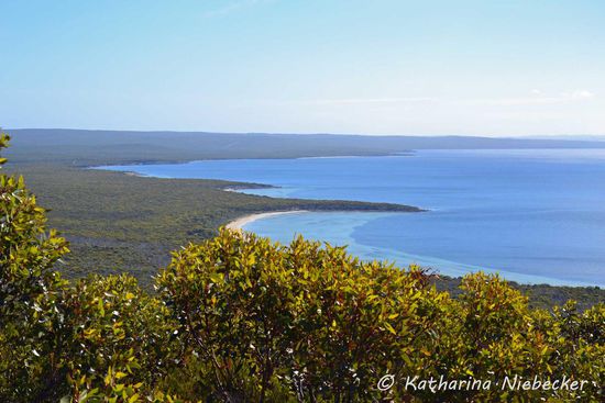 Der Bewuchs vom Nationalpark reicht bis ans Wasser und offenbart hin und wieder wunderschöne Strände.