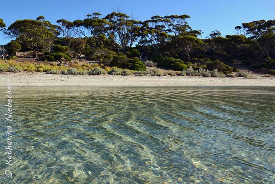 Ein Blick auf den schönen Strand und das kristallklare Wasser.... Wie im Paradies.....