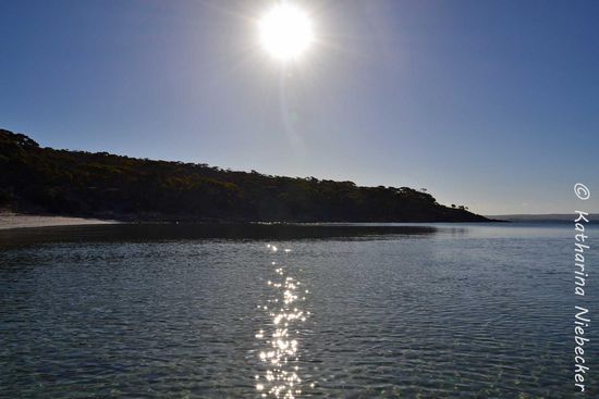 Eine Gegenlicht-Aufnahme