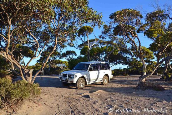 Hier auf diesem Campground haben wir unser Abendessen gemacht. Nur übernachtet haben wir hier nicht. Kostet ja extra....