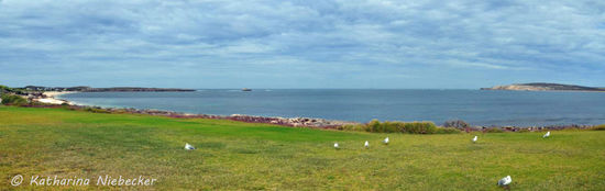 Unsere Aussicht beim Frühstück.... Umzingelt von Möwen, genossen wir die Ruhe des kleinen Ortes Elliston.
