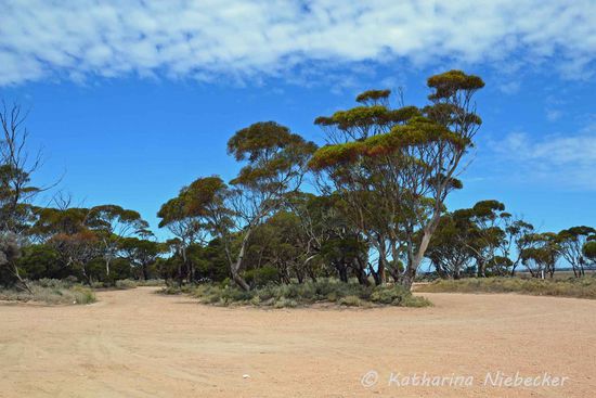 Ein Rastplatz neben der Straße.