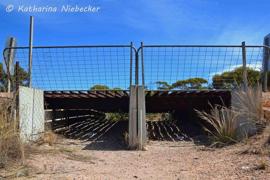 Die Konstruktion hat mich fasziniert, weshalb sie hier auch abgebildet wird. Schon lustig, auf was für Gedanken der Mensch so kommt.....