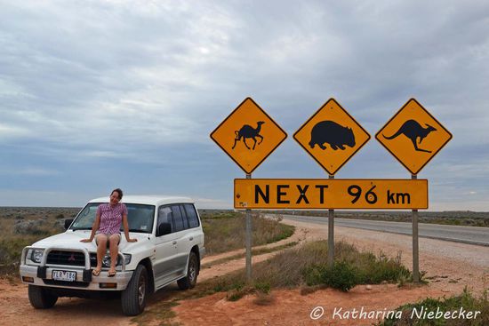 Wer kennt dieses Bild nicht? Ein sehr bekanntes Fotomotiv in Australien! Das Straßenschild mit dem Kamel, Wombat und Känguru. Auch wir nutzten es für ein Foto