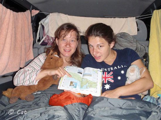 Na, was ist heute anders? - Ah.... richtig, die Kuscheltiere.... 