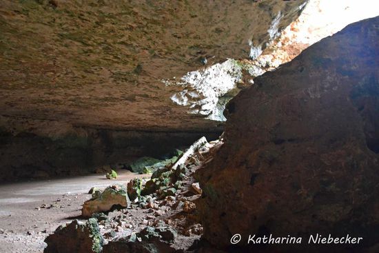 Ein Blick von unten in den Höhlenraum. Die Höhlen sind durch Unterspülung des Bodens vom Meereswasser entstanden.