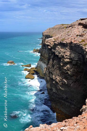 Die Klippen sind hier unbegrenzt zugänglich. Wer hier abrutscht, hat ein größeres Problem.  Vor uns liegt hier die "Great Australian Bight". Nächste Landmasse ist die Antarktis.