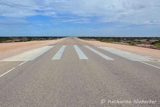 Immer schön brav den "Fußgängern" die Vorfahrt lassen.......