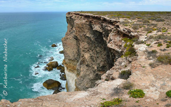 Das Plateau ist immernoch flach wie ein Brett und karg bewachsen. Aber es blühen auch hier ein paar kleine Blumen....